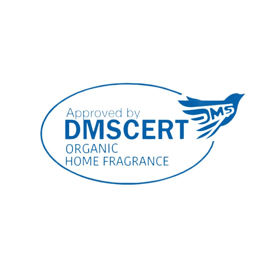 dms-home.webp
